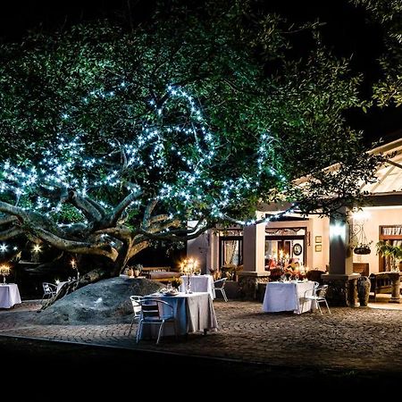 Belgrace Boutique Hotel Вайт-Рівер Екстер'єр фото
